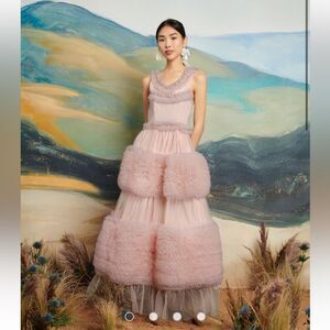 NWOT Dream Sister Jane Montana Tulle ruffle maxi dress in powder pink Size Small